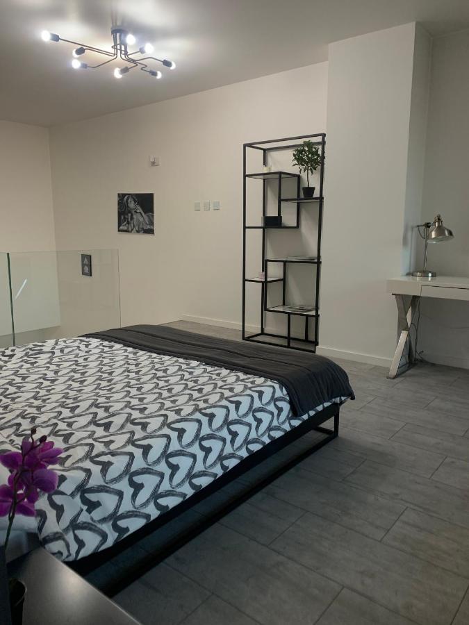 Ekskluzywny Penthouse Z Ogrodem W Centrum Lodzi Exterior foto